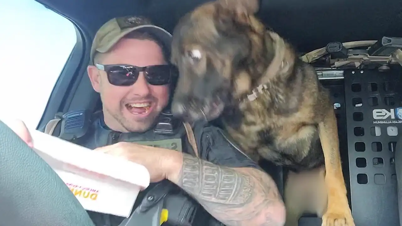 When Police Dogs Forget Their Job ๐ Funny Dog Videos 2025