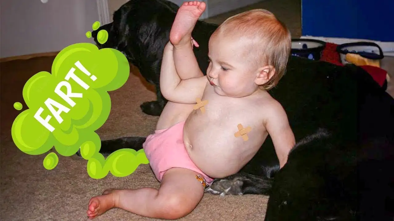 Funny Baby Videos Compilation That You Can't Miss!!